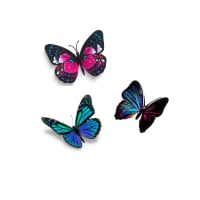 Butterflies (Complementary Color)